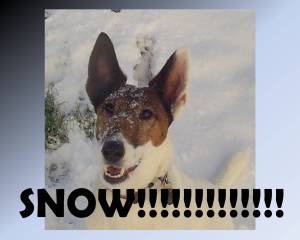 Slide13 SNOW!!!!!!!!!