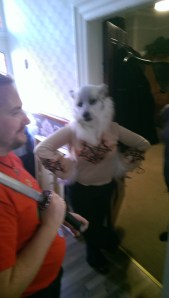 Our werewolves are feistier and cuter than Oz ever was